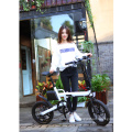 250W City E Bicycle New Fashion Foldable Electric Bike with Lithium Battery 36v geared hub motor 16inch wheel